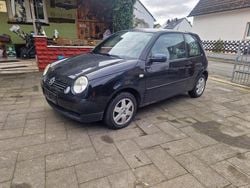Schwarz Gebraucht 2000 VW Lupo Kleinwagen | 750 € (Guter Preis)
