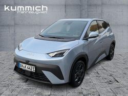 Blau Gebraucht 2025 BYD Dolphin Comfort Kleinwagen | 26.390 € (Etwas zu teuer)