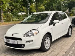 Weiß Gebraucht 2015 Fiat Punto Pop Kleinwagen | 2.980 € (Guter Preis)