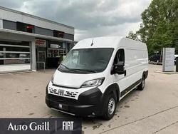 Weiss ducato weiss Neu 2025 Fiat Ducato Van | 32.279 € (Superpreis)
