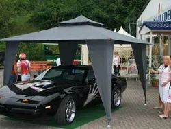 Schwarz Gebraucht 1989 Pontiac Firebird Cabrio | 7.500 €
