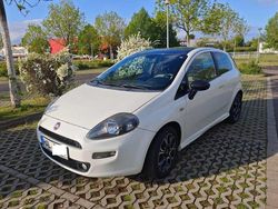 Weiß Gebraucht 2013 Fiat Punto Kleinwagen | 2.790 € (Fairer Preis)
