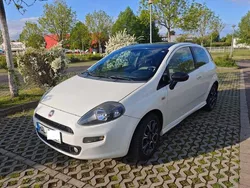 Weiß Gebraucht 2013 Fiat Punto Kleinwagen | 2.890 € (Fairer Preis)