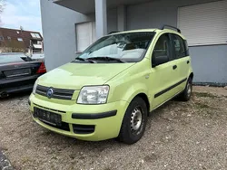 Grün Gebraucht 2006 Fiat Panda Kleinwagen | 999 €