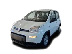 Weiss Neu 2024 Fiat Panda Kleinwagen | 18.979 €