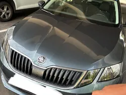 Grau Gebraucht 2019 Skoda Octavia Active Kombi | 12.900 € (Fairer Preis)