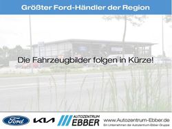 Grau Gebraucht 2016 Kia Rio Platinum Edition Limousine | 11.951 € (Teuer)