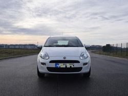 Weiß Gebraucht 2015 Fiat Punto Kleinwagen | 5.100 € (Fairer Preis)