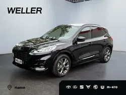 Schwarz Gebraucht 2024 Ford Kuga ST-Line SUV | 26.580 € (Superpreis)