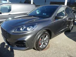 Magneticgrau metallic (metallic) Gebraucht 2024 Ford Kuga ST-Line X SUV | 28.800 € (Fairer Preis)