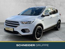 Weiß Gebraucht 2019 Ford Kuga Trend SUV | 15.990 € (Guter Preis)