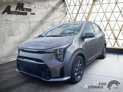 Astrograu Neu 2025 Kia Picanto Vision Kleinwagen | 16.990 € (Etwas zu teuer)