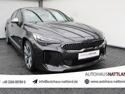 Pantera metal Gebraucht 2020 Kia Stinger Kleinwagen | 30.750 € (Guter Preis)