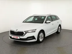 Weiß Gebraucht 2023 Skoda Octavia Kombi | 22.890 € (Guter Preis)