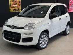 Colore esterno (weiss) Gebraucht 2020 Fiat Panda Easy Kleinwagen | 9.690 € (Fairer Preis)