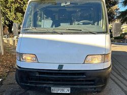 Weiß Gebraucht 1995 Fiat Ducato Van | 7.900 €