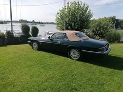 Gebraucht 1996 Jaguar XJS Cabrio | 29.990 €