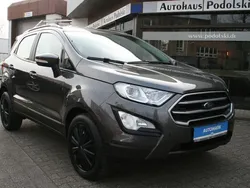 Grau Gebraucht 2019 Ford Ecosport Cool & Connect SUV | 16.000 €