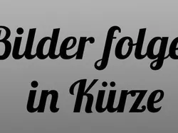 Grau Gebraucht 2021 BMW 116 Advantage Kleinwagen | 21.700 € (Teuer)