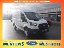 Weiß Gebraucht 2024 Ford Transit Trend | 36.490 € (Teuer)