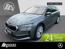 Graphitgrau Gebraucht 2024 Skoda Octavia Selection Kombi | 31.854 € (Guter Preis)