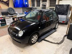 Schwarz Gebraucht 2000 VW Lupo Kleinwagen | 1.799 € (Fairer Preis)