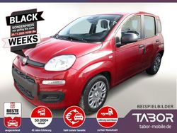 Rot Neu 2025 Fiat Panda Limousine | 13.644 € (Fairer Preis)