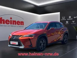 Andere Gebraucht 2019 Lexus UX Launch Edition SUV | 22.399 €