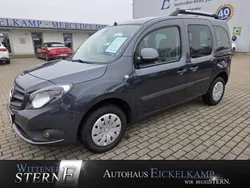 Grau Gebraucht 2017 Mercedes Citan 109 Kombi | 15.690 € (Teuer)