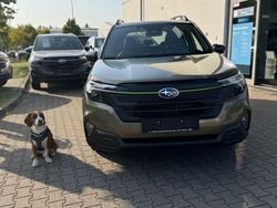 Grün Neu 2025 Subaru Forester SUV | 44.740 € (Etwas zu teuer)