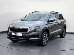 Grau Neu 2025 Skoda Karoq Tour SUV | 45.740 €