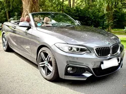 Grau Gebraucht 2017 BMW 220 M Sport Cabrio | 23.290 € (Etwas zu teuer)