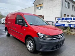 Rot Gebraucht 2018 VW Caddy Maxi Van / Kleinbus | 11.499 € (Fairer Preis)