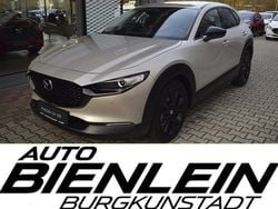 Silber Neu 2025 Mazda CX-30 Nagisa SUV | 26.600 €