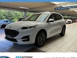 Weiß Gebraucht 2024 Ford Kuga ST-Line X SUV | 33.481 € (Guter Preis)
