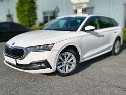 Weiß Gebraucht 2020 Skoda Octavia First Edition Kombi | 18.890 € (Fairer Preis)