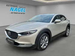 Beige Neu 2024 Mazda CX-30 Center-Line SUV | 30.690 €