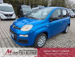 Blau Neu 2025 Fiat Panda Pop Limousine | 13.792 € (Guter Preis)