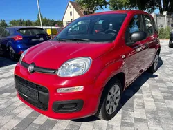 Rosso cupido/alfa Gebraucht 2012 Fiat Panda Pop Kleinwagen | 4.990 € (Etwas zu teuer)