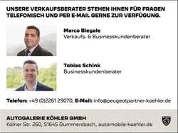 Lack weiss perlglänzend/metallic lackier (metallic) Gebraucht 2021 Peugeot 3008 Allure SUV | 25.990 € (Fairer Preis)