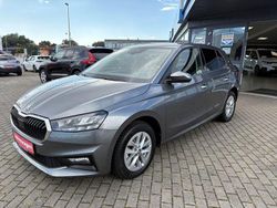 Grau Gebraucht 2024 Skoda Fabia Selection Kleinwagen | 20.990 € (Fairer Preis)
