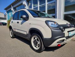 Beige Gebraucht 2023 Fiat Panda Kleinwagen | 21.900 €