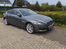 Grau Gebraucht 2016 Jaguar XF Portfolio Limousine | 16.000 € (Fairer Preis)