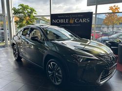 Nori green (metallic) Gebraucht 2019 Lexus UX 250h Luxury Line SUV | 29.990 € (Teuer)