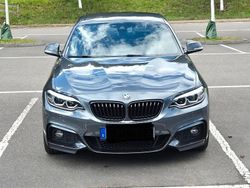 Grau Gebraucht 2018 BMW 230 M Sport Coupé | 26.500 € (Etwas zu teuer)