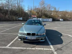 Grün Gebraucht 2001 BMW 530 Kombi | 4.950 € (Etwas zu teuer)