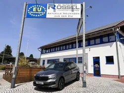 Grau Neu 2025 Skoda Kamiq Monte Carlo SUV | 27.990 € (Fairer Preis)