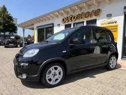 Gelato weiß Gebraucht 2024 Fiat Panda Cross Cross Kleinwagen | 14.990 € (Fairer Preis)