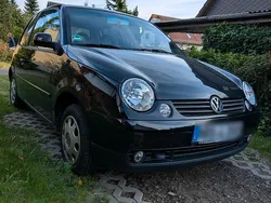 Schwarz Gebraucht 2005 VW Lupo Kleinwagen | 1.200 € (Fairer Preis)