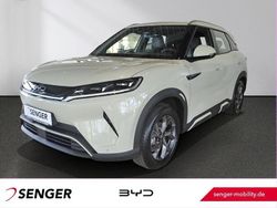 Grün Gebraucht 2025 BYD Atto 2 Boost SUV | 31.890 €